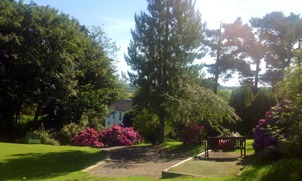Priskilly Forest Country House Фишгард Номер фото